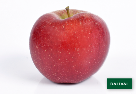 Apple - Apple tree - Dalival - ENVY SCILATE