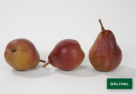 Pears - Dalival - Regal Red® Comice
